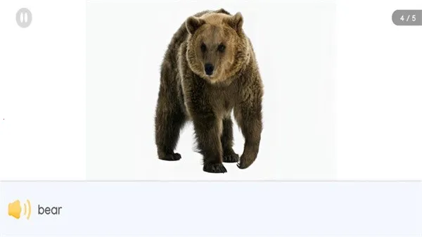 Ķð2025ذװv1.13.5 ٷͼ