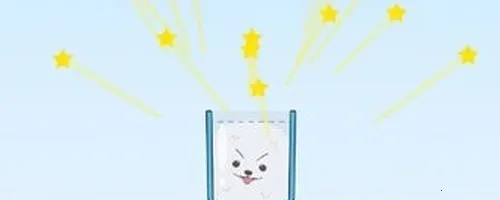 HAPPY DOGS2025最新版本 HAPPY DOGS2025最新版本