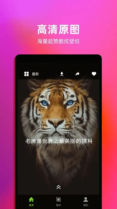 4kֽ̬2025ٷv1.6 ֻͼ