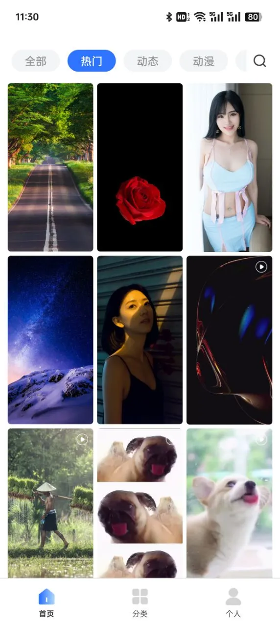 Ȥֽ̬2025ذװv1.0.0 ֻͼ