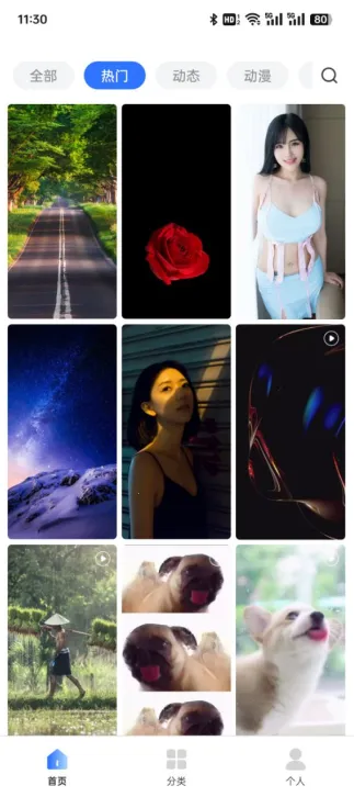 萌趣动态壁纸2025下载安装 萌趣动态壁纸2025下载安装