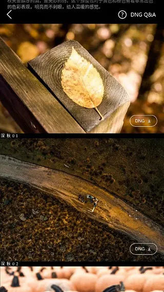 Koloro滤镜大师调色(图像调色编辑) Koloro滤镜大师调色(图像调色编辑)