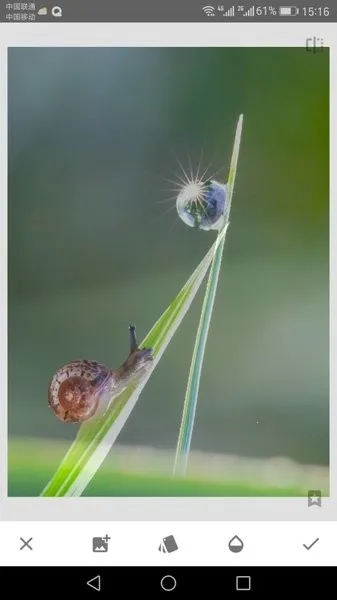 Snapseed(专业手机修图) Snapseed(专业手机修图)