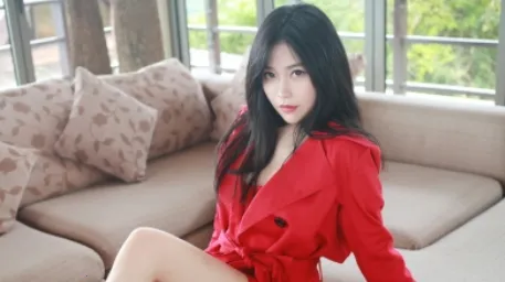 animation���(������������)