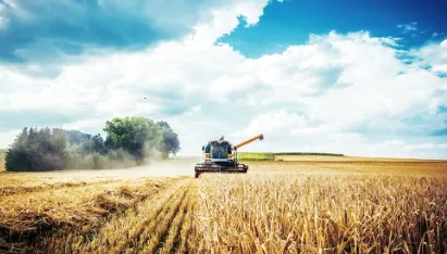 ũ���������2025�ٷ����°汾