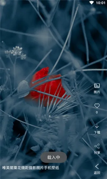 ������Ƶ��ֽ2025���°汾