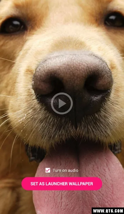 ������Ƶ��ֽ2025���°汾v4.1.4 �ֻ����ͼ