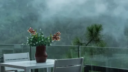 ����ʵʱԤ������2025�ٷ����°汾