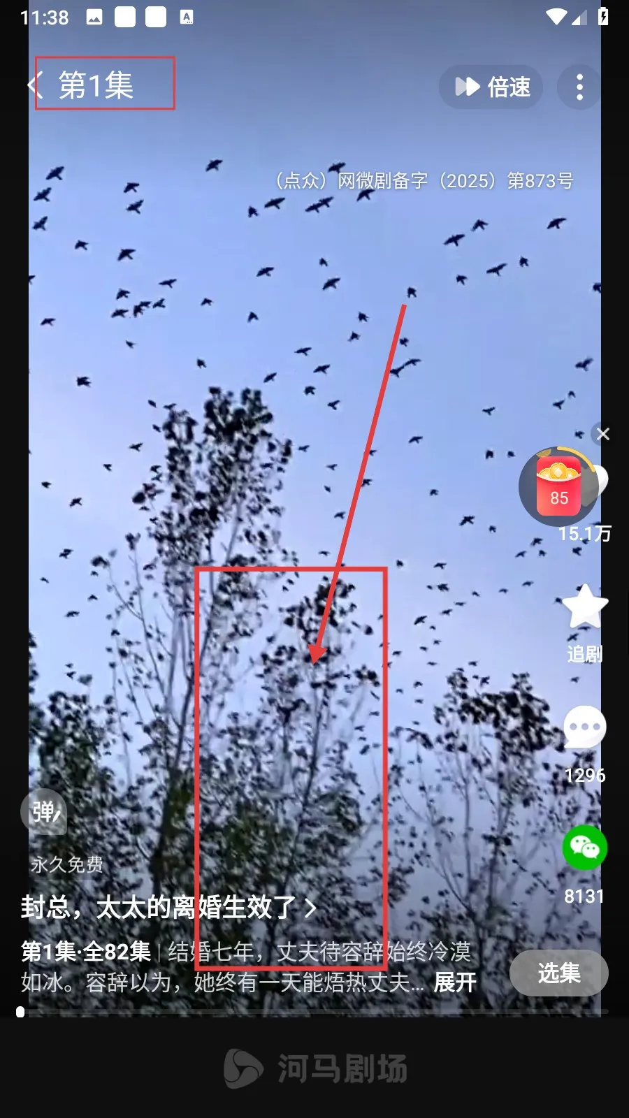 河马剧场短剧 河马剧场短剧