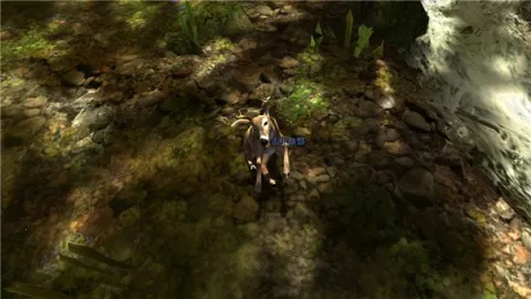 猎鹿人2025官方最新版本 猎鹿人2025官方最新版本