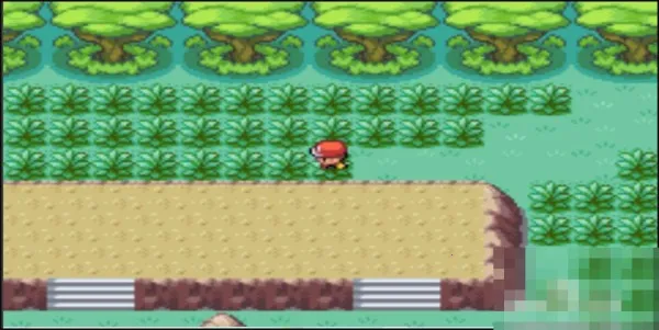 �ڴ�����ȥ��Ƥ����2025���ذ�װ