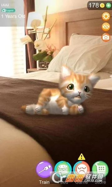 ARè�������ֻ���