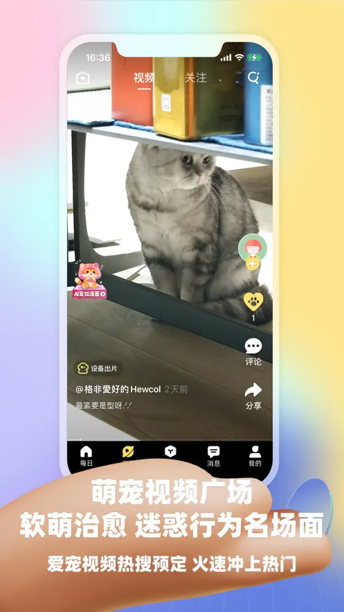 Ƥ�˷���׿���ֻ���v3.17.2 �ֻ����ͼ