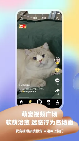 Ƥ�˷���׿���ֻ���