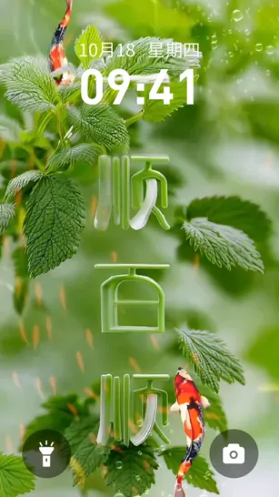 ������ֽ(��ֽ��������)