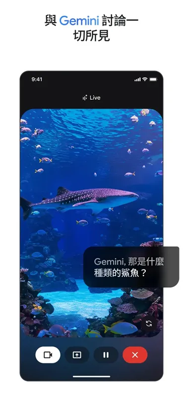 Google gemini2026���°汾v2.0 ��Ѱ��ͼ