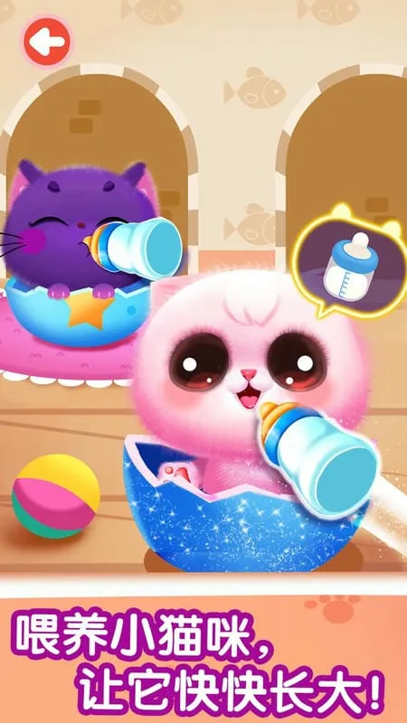 �����߼�ѵ�������ֻ���