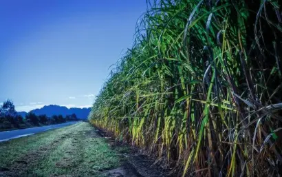 ����ũ��׿���ֻ���