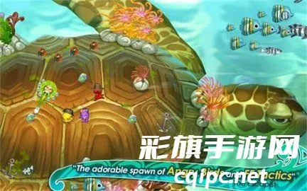 ����СӢ��