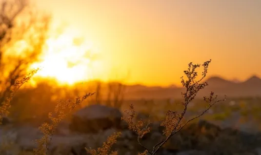 �����ۺ�Ԥ��2026���°汾