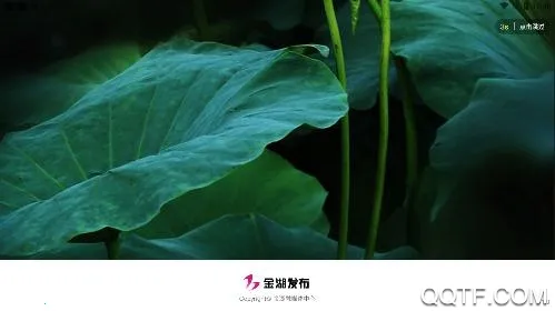 �������2026�ٷ����°汾