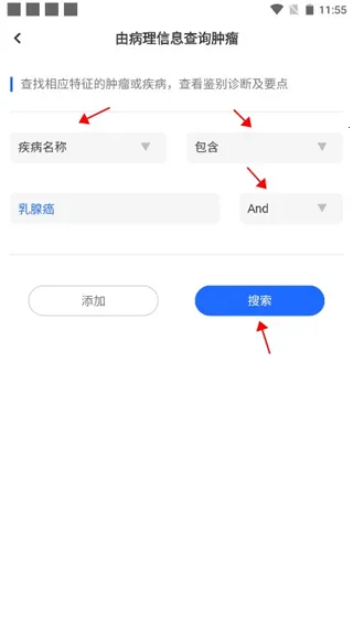 ������̽