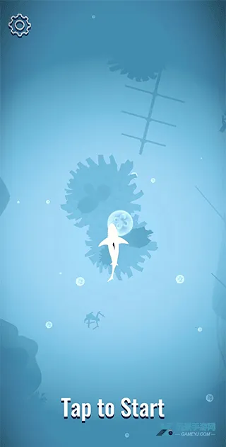 ���Ⱥ2026�ٷ�����