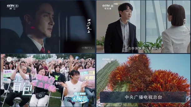 С�ɵ������°汾����