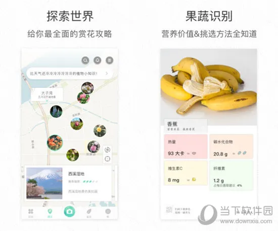 ��ɫ2026�ٷ����°汾