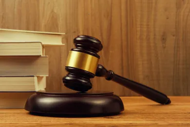 ���շ���2026�ٷ�����