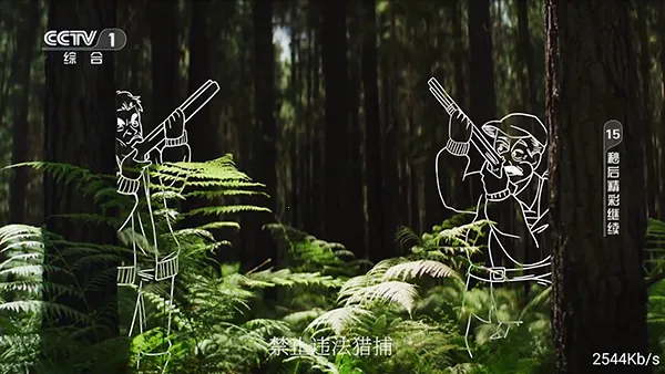 ����ֱ��2026���°汾