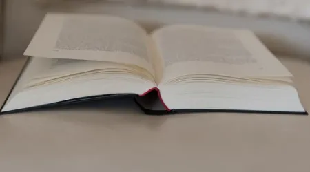 ����С˵2026�ٷ����°汾