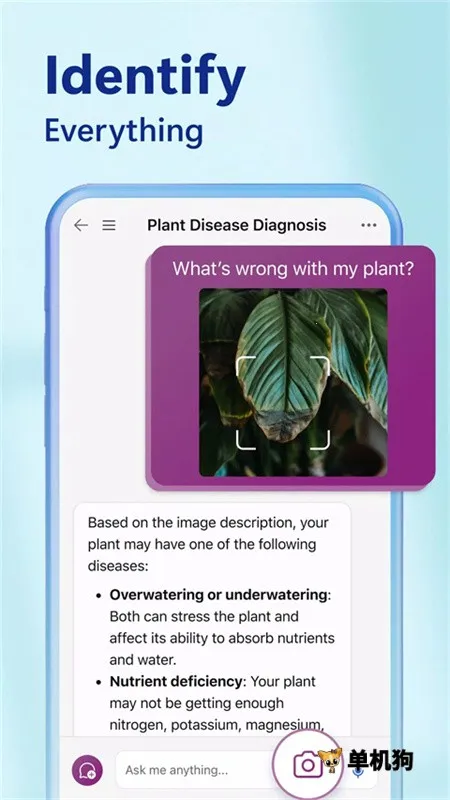 ��Ӧbingv32.6.2110003561 ��Ѱ��ͼ