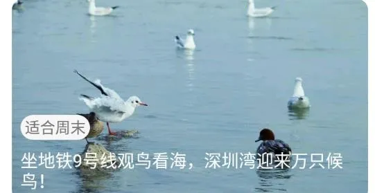 ����2026���ذ�װ