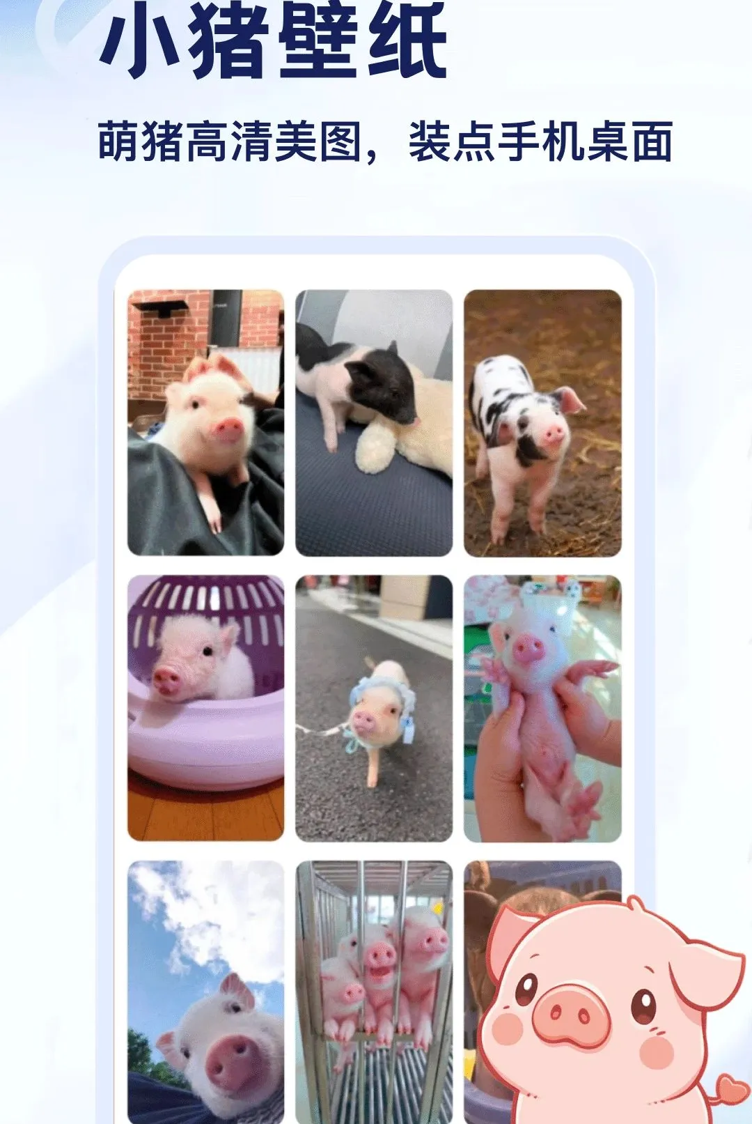 ����APP(С����������)v5.2 ��׿���ͼ