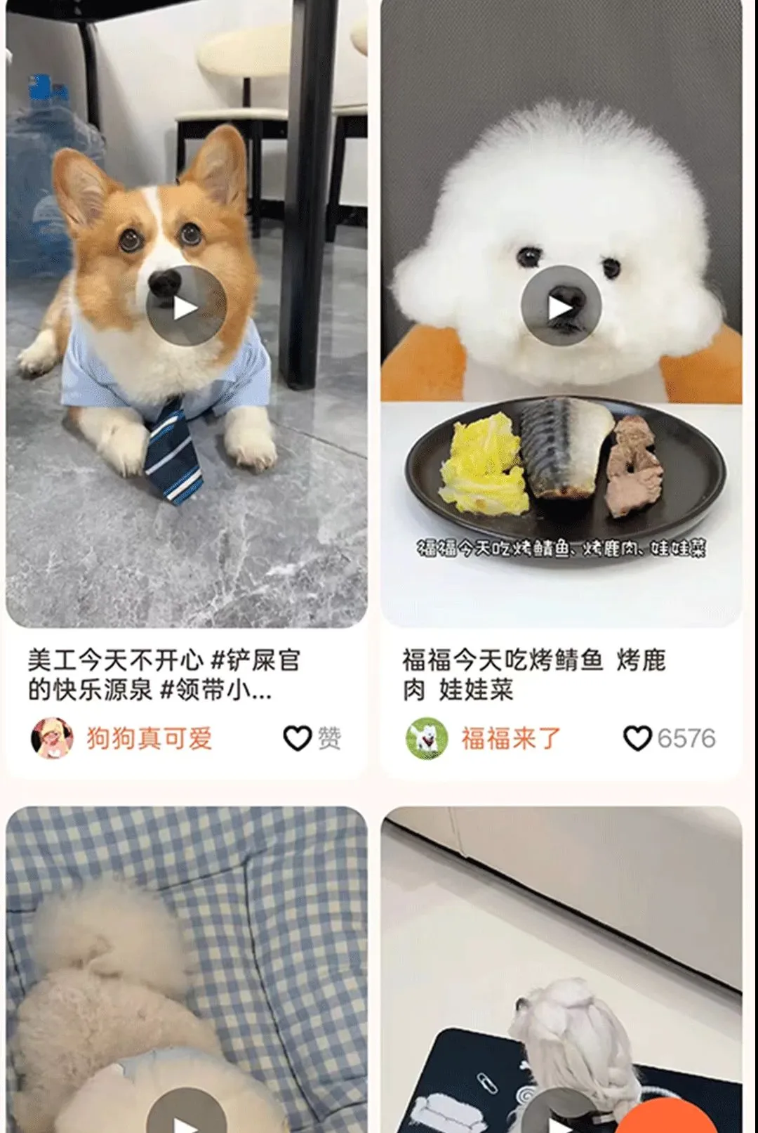С���APP��׿���ֻ���v1.1.7 ��׿���ͼ