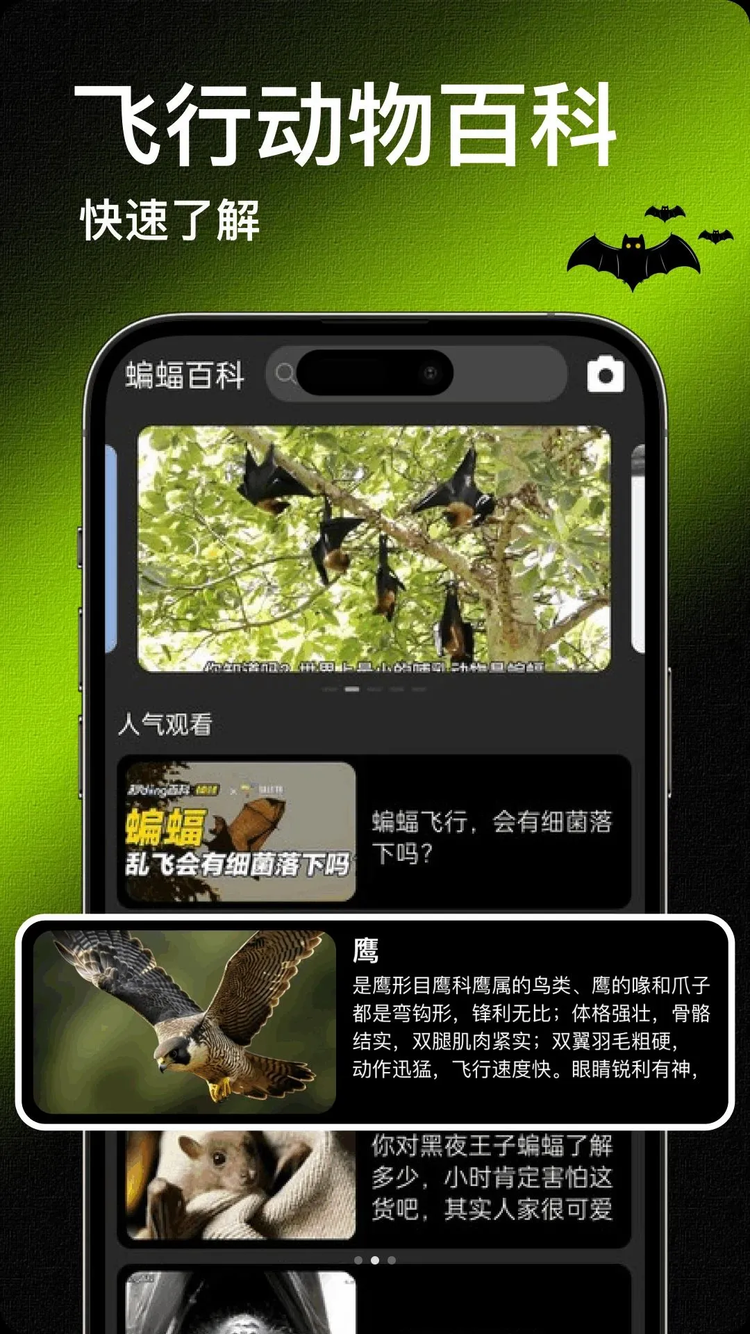 Bat���������ֻ���v1.2 ��׿���ͼ