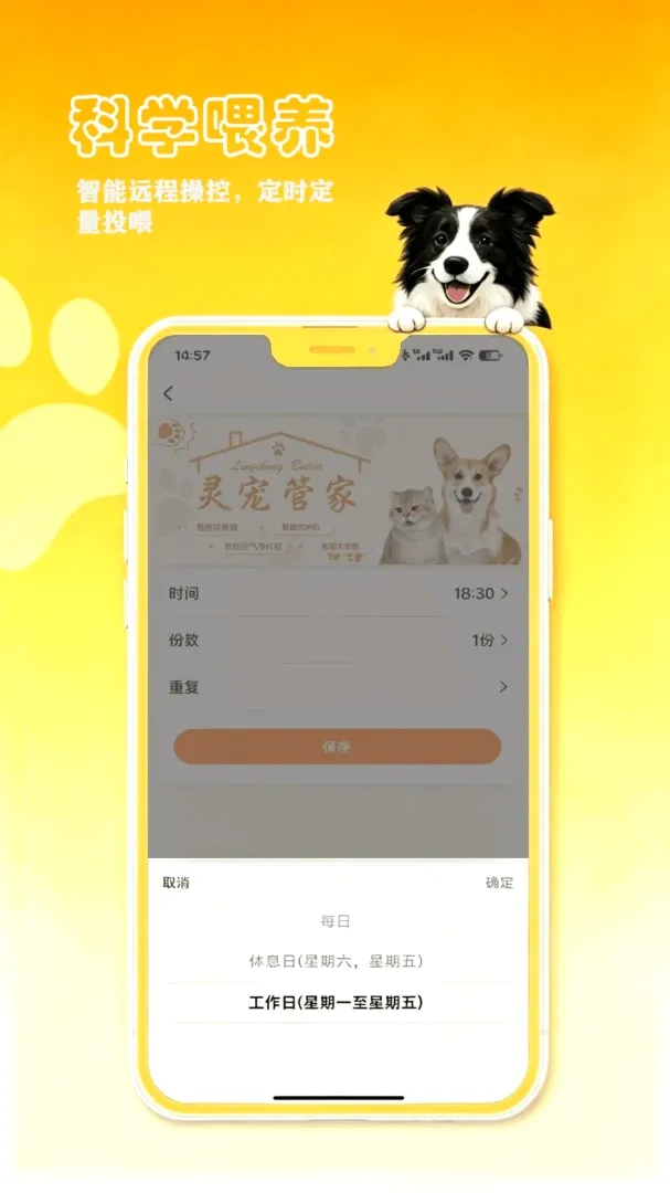 petCompanionR���ܼ�(���ܳ���ιʳ��)v1.0.17 ��׿���ͼ