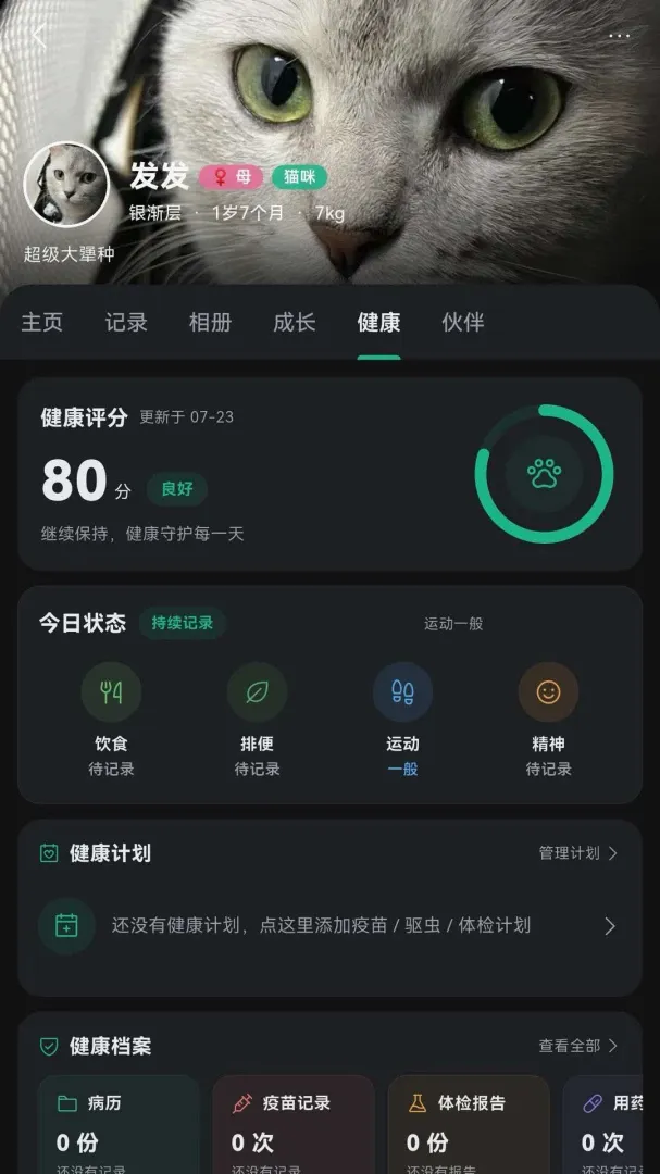 小野草2026最新版本 小野草2026最新版本