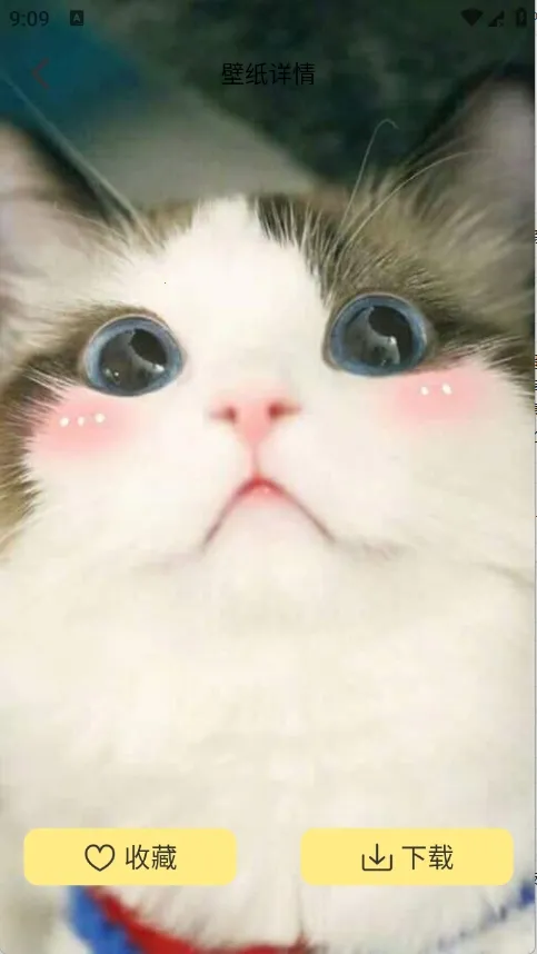 �Ⱦޱ�ֽ(��ֽ���Ի�����)v1.1 ��׿���ͼ