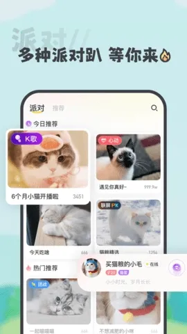 ����2026���°汾