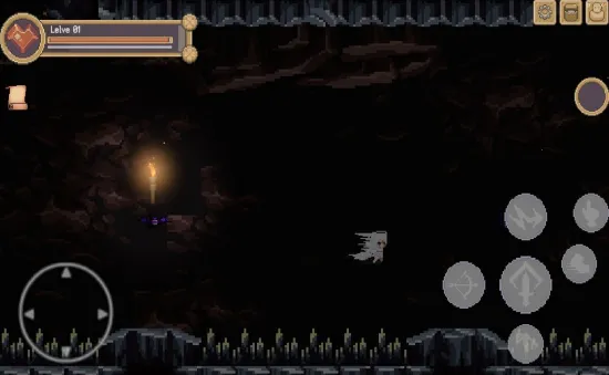 �ֶ�(�ֶ�ð����Ϸ)