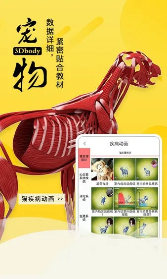 3dbody��������v8.8.91 �ֻ����ͼ