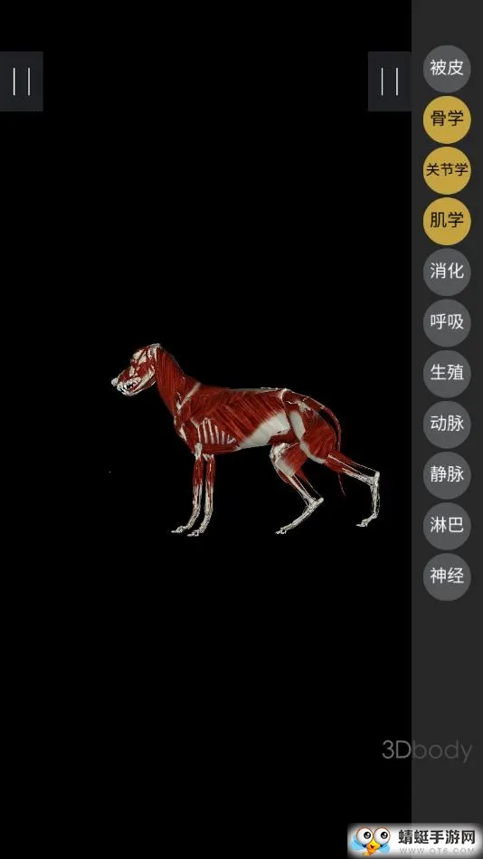 3dbody��������v8.8.91 �ֻ����ͼ