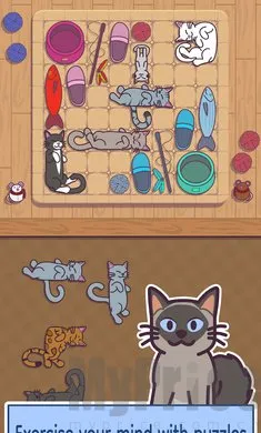 ���׶�(è�������Ϸ)