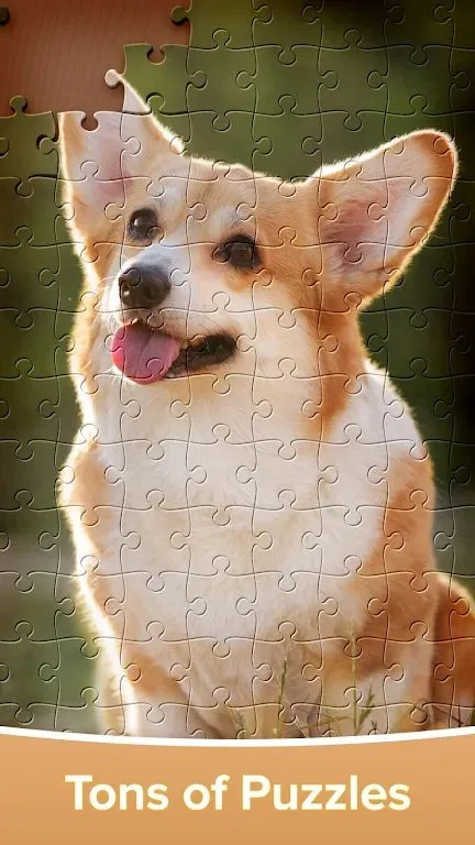 ƴͼ��Ϸ�󴳹������ֻ���v4.4.16 �ֻ����ͼ