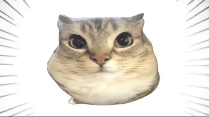 �ͰͲ�һ�����ֻ���v1.0 �ٷ������ͼ