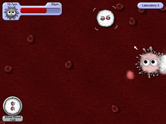 ��ζ����4�ƽ�����޽����ʯ