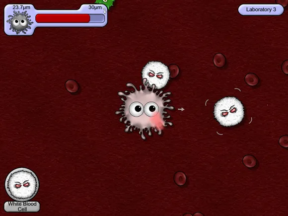 ��ζ���������