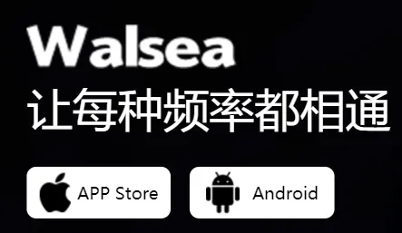 WALSEA�����ֻ���